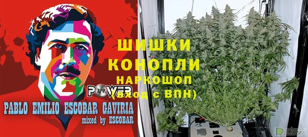 тгк Абаза
