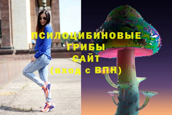 бошки Пересвет