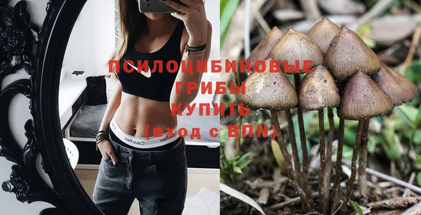 ГАЛЛЮЦИНОГЕННЫЕ ГРИБЫ Алзамай