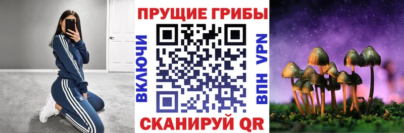 Галлюциногенные грибы MAGIC MUSHROOMS  где можно купить   гидра рабочий сайт  Починок 