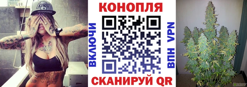 как найти наркотики  Починок  МАРИХУАНА OG Kush 